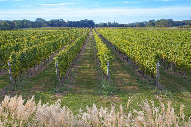the-hamptons-and-long-island-wineries-private-tour