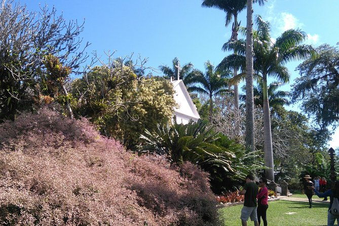the-landscaper-burle-marx-and-its-site-cultural-heritage