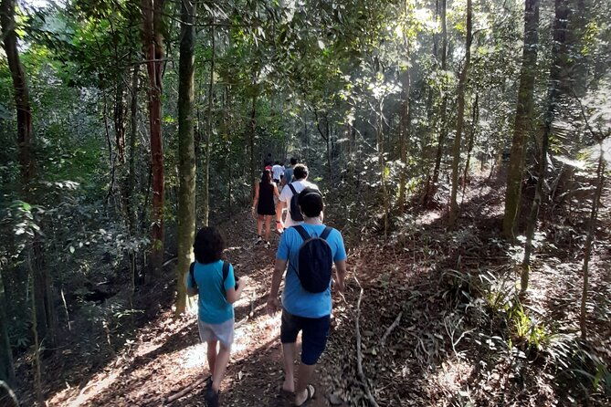 tijuca-national-park-and-all-its-wonders