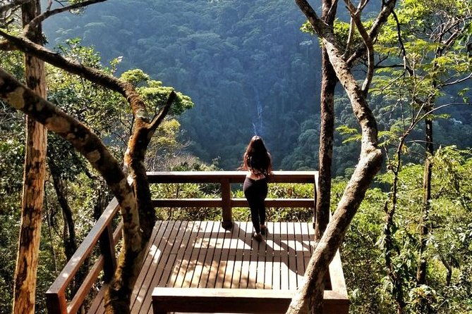 tijuca-national-park-and-botanic-garden-guided-tour-transfer