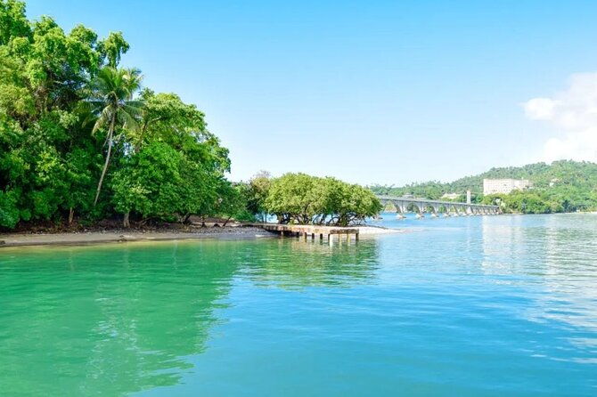 tour-in-samanabaracardi-islandballenas-y-salto-lemon-from-puj