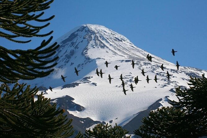 tour-of-the-lanin-volcano-and-huechulafquen-lake