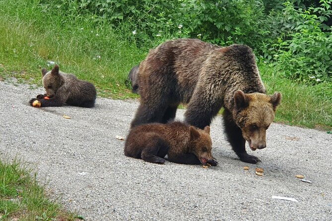 transfagarasan-road-private-day-trip-from-bucharest-the-best-road-in-the-world