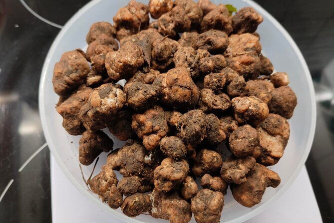 truffle-hunting-in-the-sicani-mountains-a-unique-experience-in-sicily