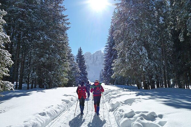 unesco-dolomites-great-expedition-from-venice-by-yellowboot
