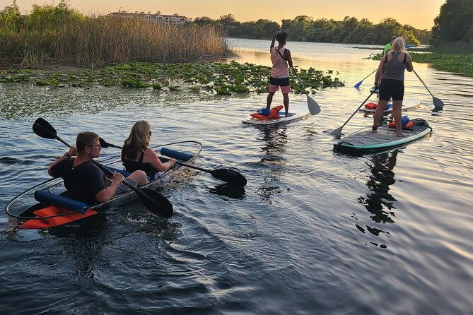 Urban Clear Kayak or Clear Paddleboard in Paradise: Morning/Night