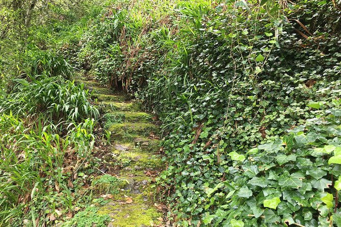 vale-paraiso-paradise-valley-walk