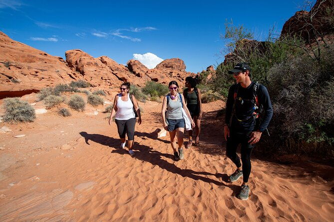 Valley of Fire Guided Hiking Tour and Mojave Desert Adventure