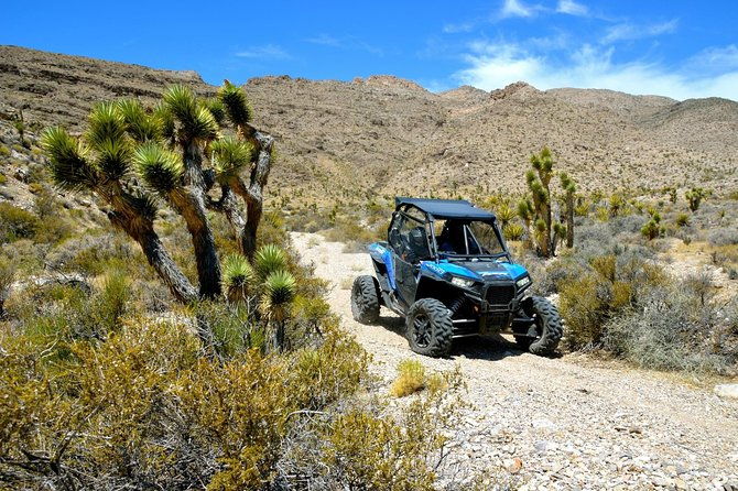 Vegas Desert RZR Adventure W/Lunch at the Historic Pioneer Saloon