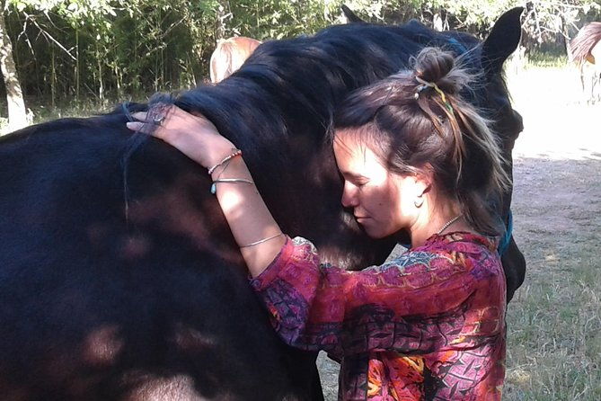 vibrate-your-horse-heart-healing-with-horses