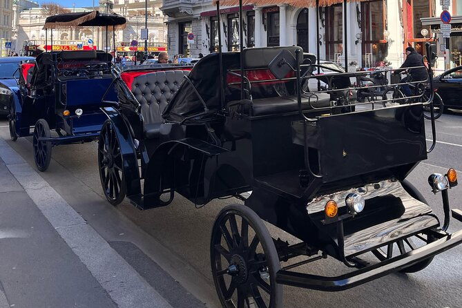 vienna-60-min-royal-e-carriage-sightseeing-tour-with-drinks