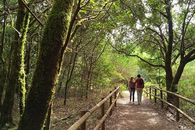 vip-experience-in-magica-gomera