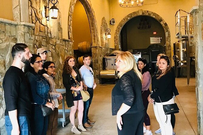 virginia-wineries-guided-tour-tastings-from-washington-dc-2