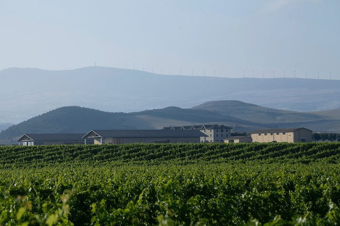 visit-and-tasting-in-otazu-2