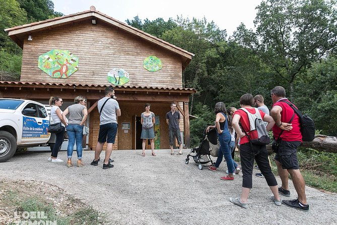 visit-immersion-in-the-heart-of-the-bee-world