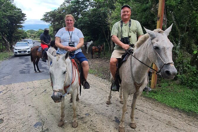 volcano-3waterfalls-horses-hotsprings-mudbath-hanging-bridges
