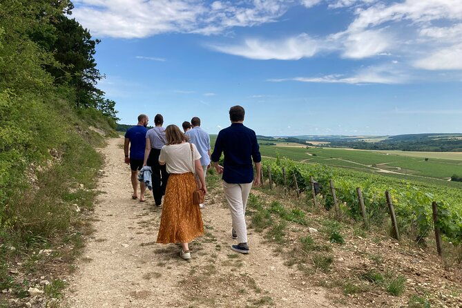 walk-in-the-vineyards-of-chablis-grands-crus