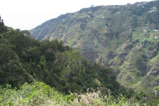 walking-experience-in-the-serra-dagua-valley