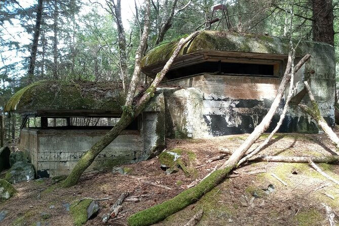 War Bunkers and Wildlife Kayak Tour in Sitka, Alaska