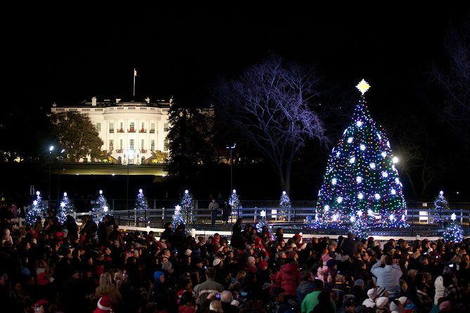 washington-dc-holiday-lights-tour-2
