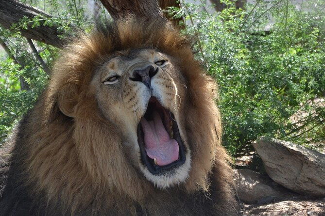 wild-animal-nature-park-scenic-route-66-tour-thru-crozier-canyon