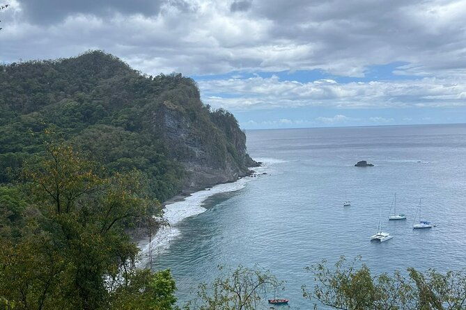 wild-immersion-hiking-in-the-heart-of-the-rainforest