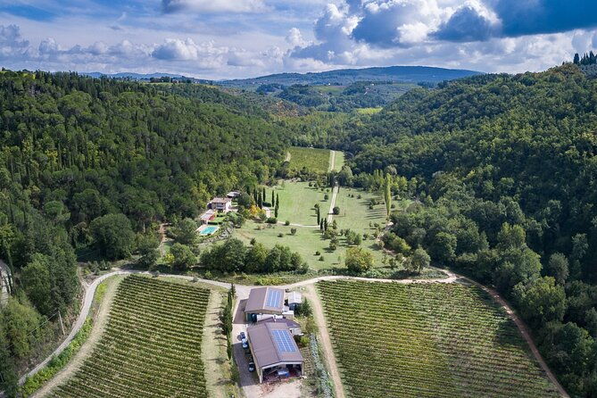 wine-tasting-by-carusvini-in-san-casciano-in-val-di-pesa