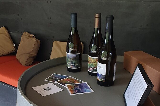 wine-tasting-experience-in-boaventura-madeira-north-coast