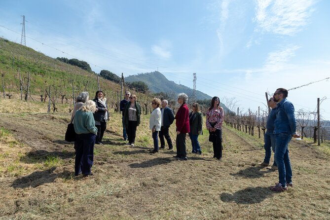 wine-tasting-in-campi-flegrei-from-naples