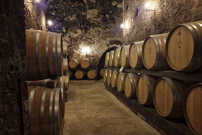 wine-tasting-in-montepulciano-tuscany-private-tour-from-rome