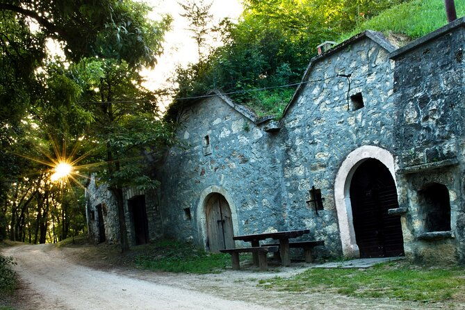 wine-tasting-in-the-countryside-from-budapest