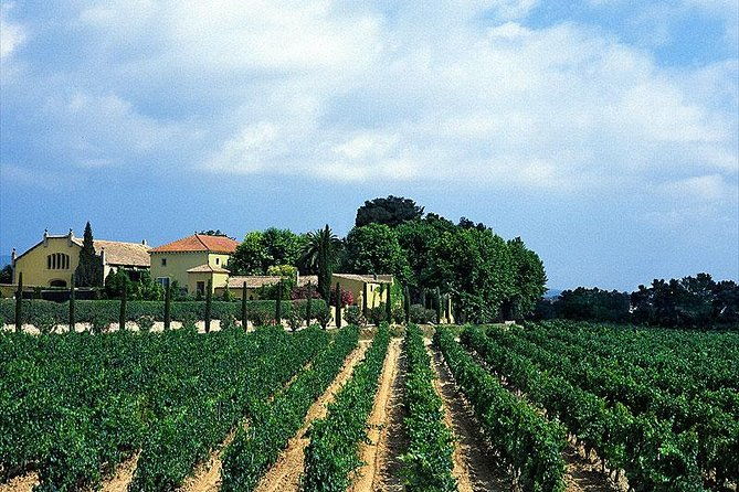 winery-tour-with-private-luxury-vehicle-from-barcelona-with-hotel-pick-up