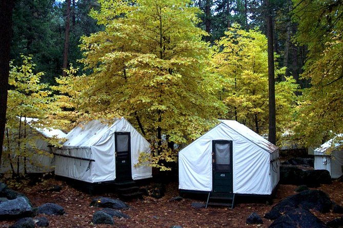 Yosemite National Park 2-Day Winter Tour From San Francisco