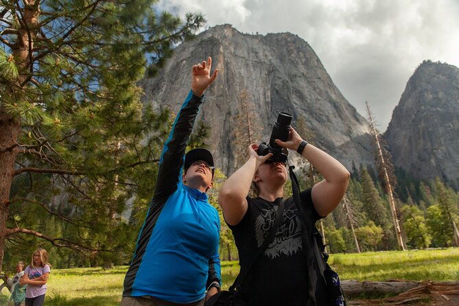 Yosemite Valley Full Day Small Group Tour