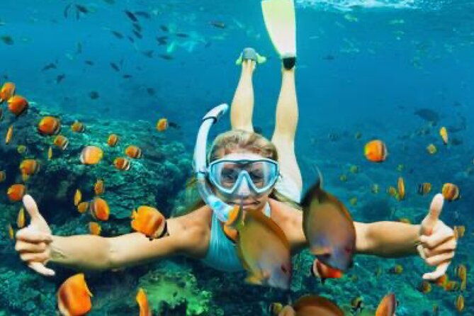 zip-lining-horseback-rides-cat-atv-inclusive-act-with-transpo-from-montego-bay