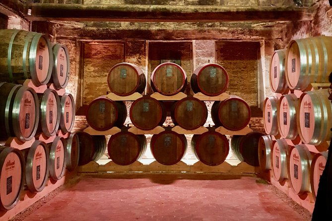 2-5-hour-vintage-sidecar-tour-of-honfleur-heights-with-tasting