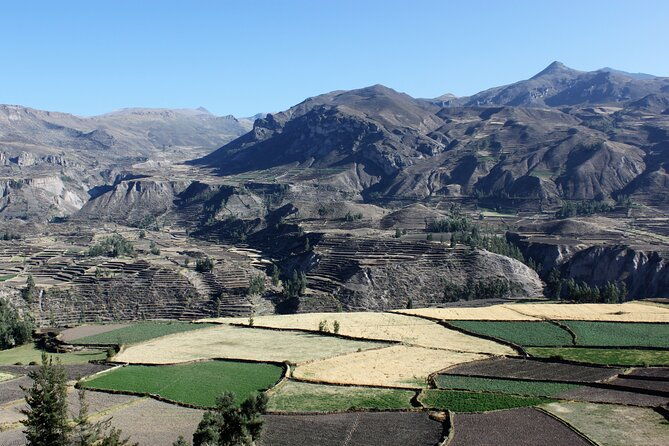 2-day-colca-canyon-vicuna-reserve-and-condors-from-arequipa