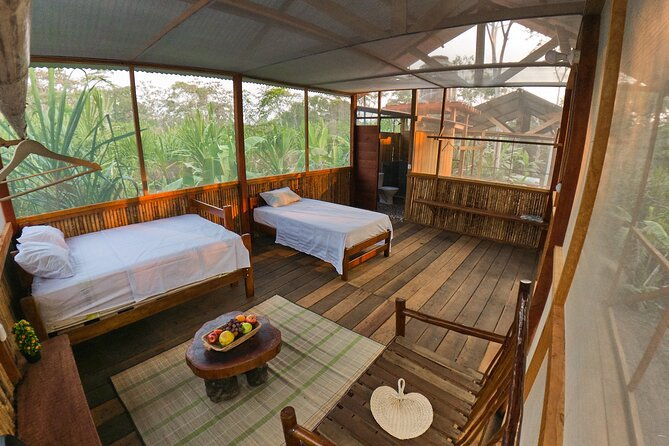 2-day-jungle-tour-lake-sandoval-monkey-island-hikes-caiman-clay-lick