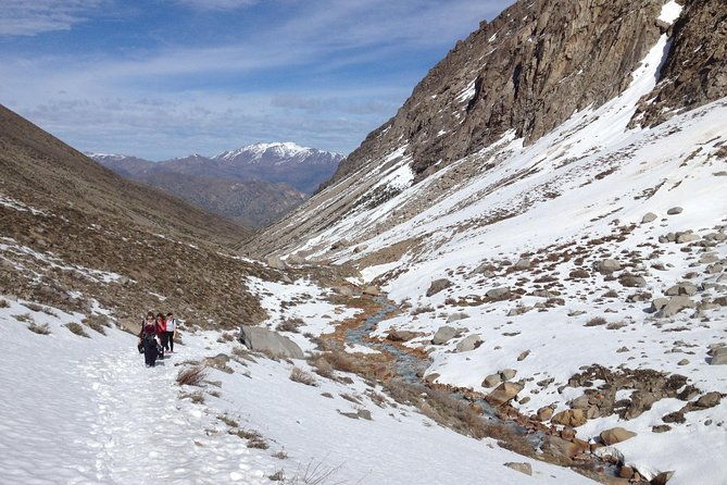 2-day-private-hiking-tour-to-la-paloma-glacier