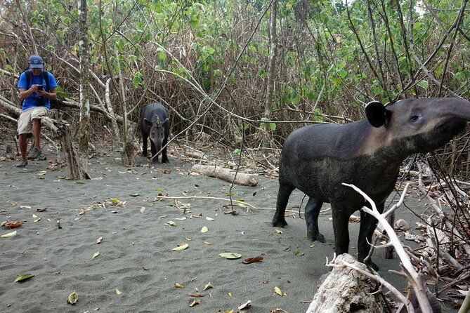 2-days-1-night-in-corcovado-sirena-from-drake-bay