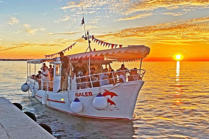 2-hour-dolphin-guided-safari-np-brijuni-from-fazana-2