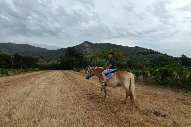 2-hour-horseback-ride-for-experts-in-valgraziosa-pisa