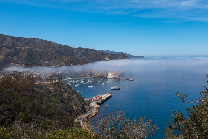 2-hour-inside-adventure-tour-on-catalina-island