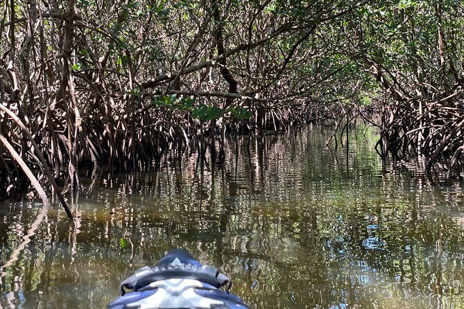 2-hour-jungle-tour-at-prehistoric-preserve-site-in-fort-pierce