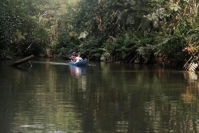 2-hour-kayak-tour-in-quepos