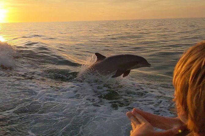 2-hour-private-dolphin-and-sightseeing-tour-in-shell-island