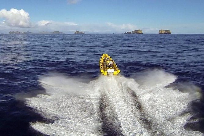 2-hour-round-trip-in-vestmannaeyjar-on-a-rib-boat