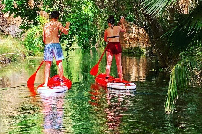 2-hours-and-a-half-sup-tour-in-the-ciane-reserve-in-syracuse