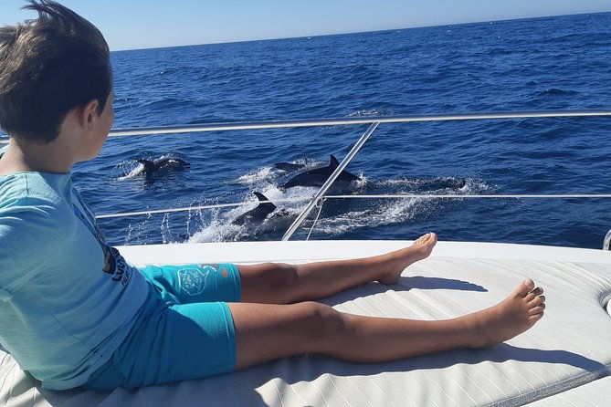 2-hours-dolphin-watching-in-marbella