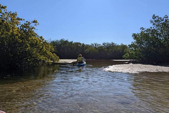 2-hours-kayak-eco-tour-in-tarpon-springs
